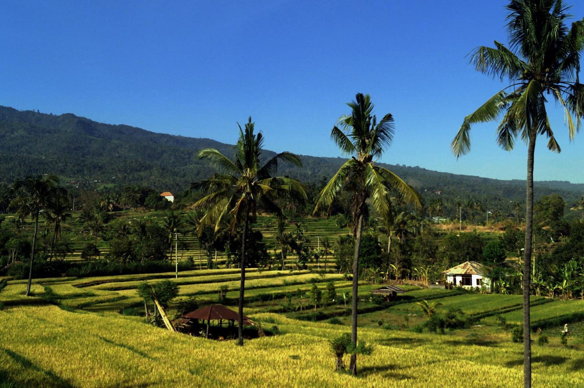 Отель Lafyu Bali Сингараджа Экстерьер фото