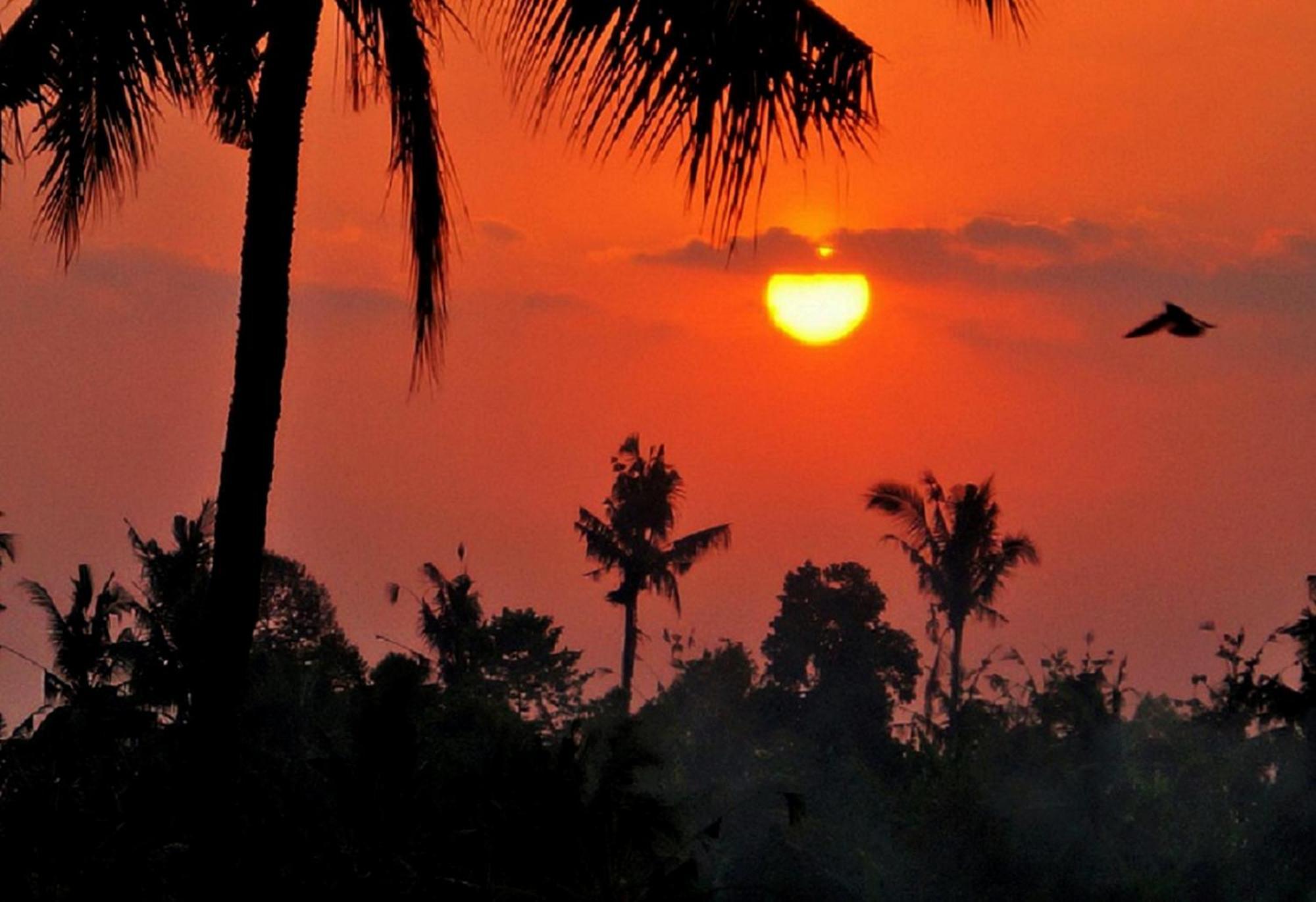 Отель Lafyu Bali Сингараджа Экстерьер фото