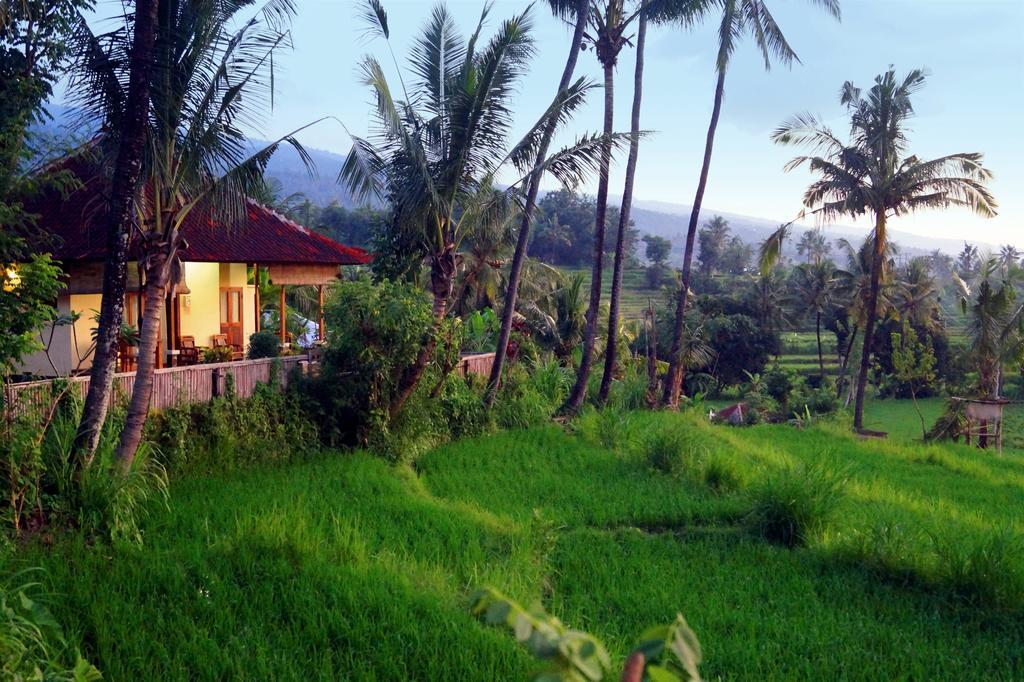 Отель Lafyu Bali Сингараджа Экстерьер фото