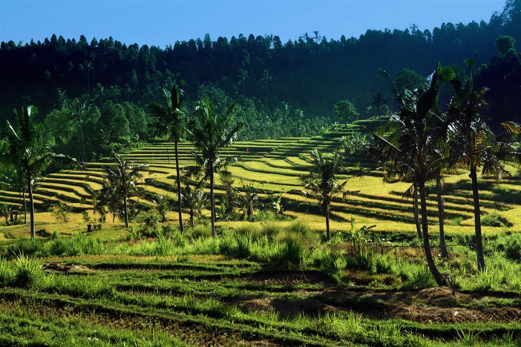 Отель Lafyu Bali Сингараджа Экстерьер фото