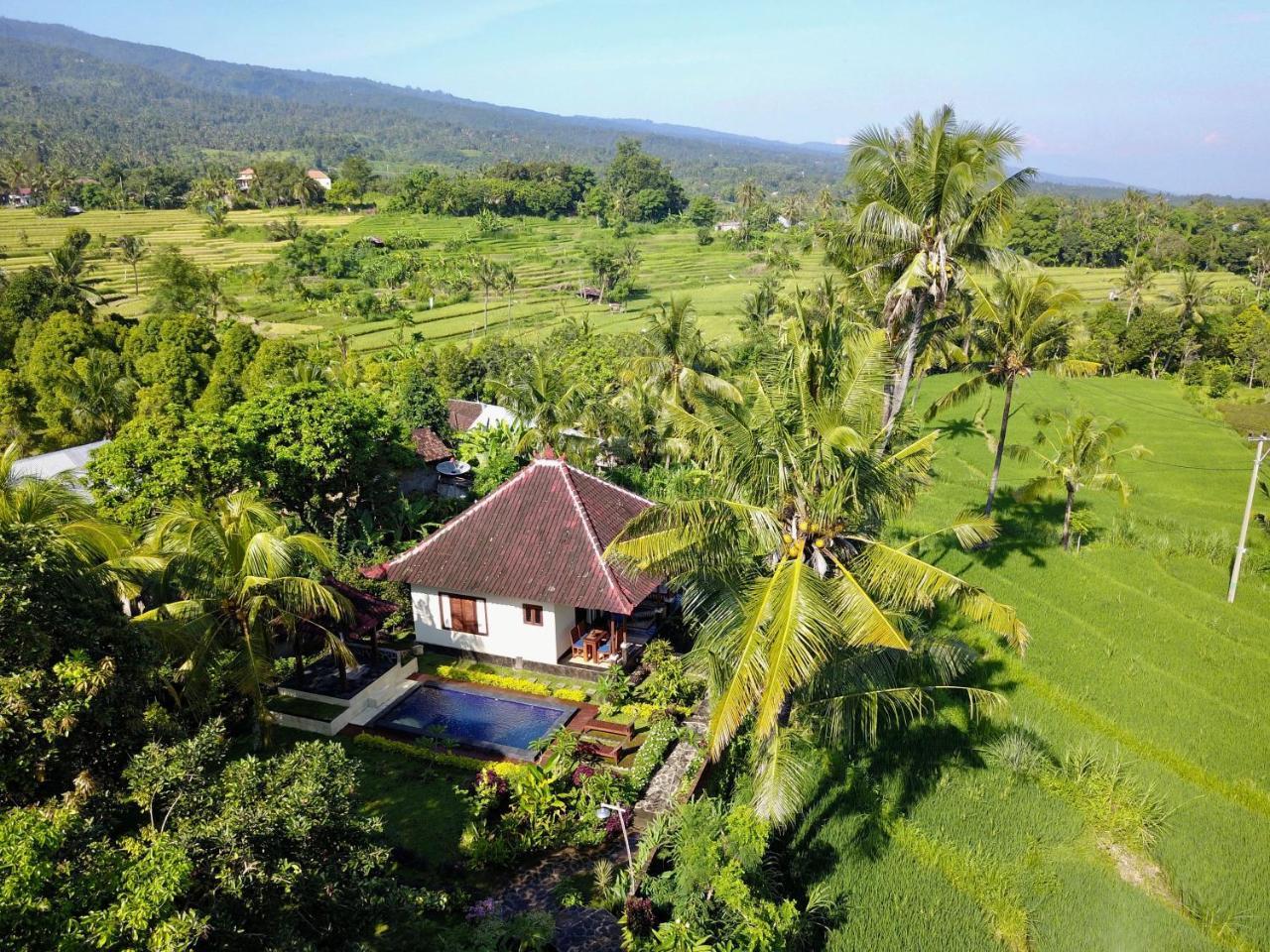 Отель Lafyu Bali Сингараджа Экстерьер фото